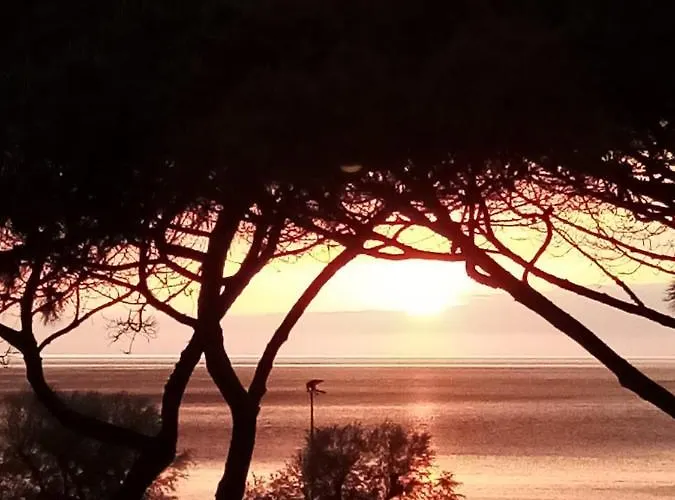 Apartamento Le Maree Marina Portoferraio